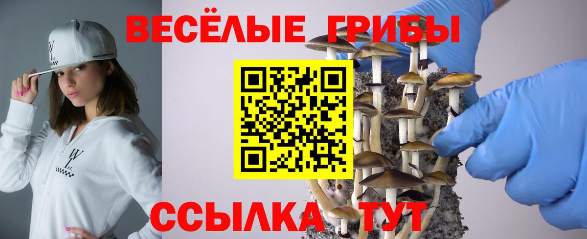 Галлюциногенные грибы Psilocybine cubensis  Галлюциногенные грибы ЛСД  Вход с VPN  Сибай 